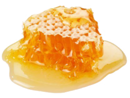 food & honey free transparent png image.