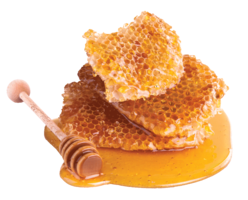 food & honey free transparent png image.