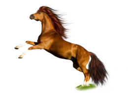 animals & horse free transparent png image.