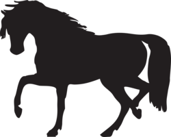 animals & Horse free transparent png image.