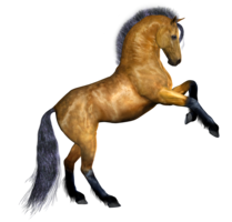 animals & Horse free transparent png image.