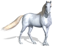 animals & Horse free transparent png image.