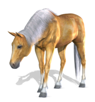 animals & horse free transparent png image.