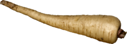 vegetables & Horseradish free transparent png image.