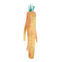 vegetables & horseradish free transparent png image.