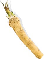 vegetables & horseradish free transparent png image.