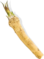 vegetables & Horseradish free transparent png image.