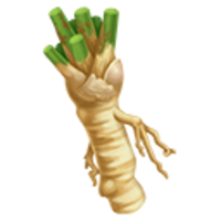 vegetables & Horseradish free transparent png image.