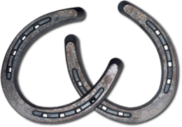 technic & horseshoe free transparent png image.