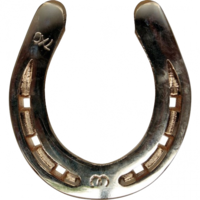 technic & horseshoe free transparent png image.