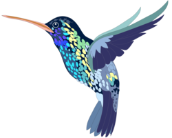animals & Hummingbird free transparent png image.