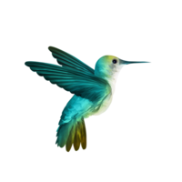 animals & Hummingbird free transparent png image.