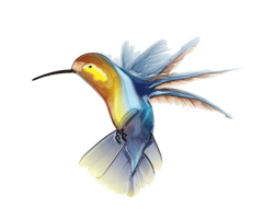 animals & Hummingbird free transparent png image.