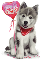 animals & husky free transparent png image.