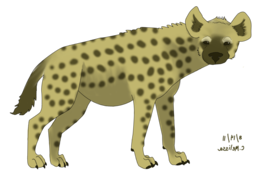 Hyena&animals png image