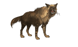 animals & Hyena free transparent png image.