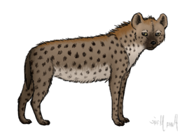 animals & hyena free transparent png image.