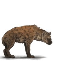 animals & Hyena free transparent png image.