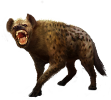 animals & hyena free transparent png image.