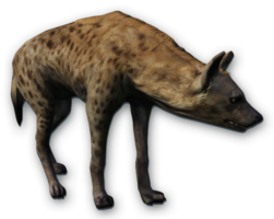 animals & hyena free transparent png image.