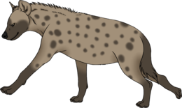 animals & Hyena free transparent png image.