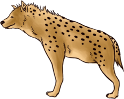 animals & hyena free transparent png image.