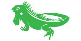 animals & Iguana free transparent png image.