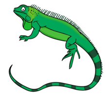 animals & iguana free transparent png image.