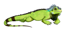 animals & iguana free transparent png image.