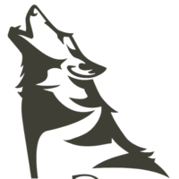 animals&Jackal coyote png image.