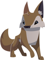 animals & jackal coyote free transparent png image.