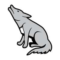 animals & jackal coyote free transparent png image.