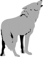 animals & Jackal coyote free transparent png image.