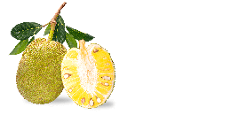 fruits & Jackfruit free transparent png image.