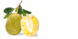 fruits & jackfruit free transparent png image.