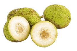 fruits & Jackfruit free transparent png image.