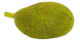 fruits & jackfruit free transparent png image.