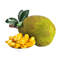 fruits & jackfruit free transparent png image.