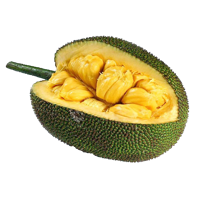 fruits & jackfruit free transparent png image.