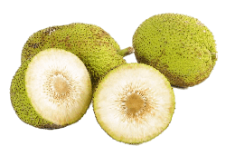 fruits&Jackfruit png image.