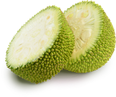 fruits & jackfruit free transparent png image.