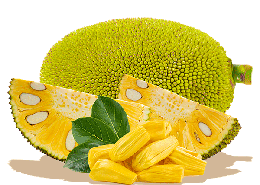 fruits & jackfruit free transparent png image.