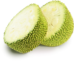 fruits & jackfruit free transparent png image.