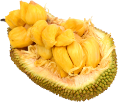 fruits & jackfruit free transparent png image.