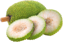 fruits & Jackfruit free transparent png image.