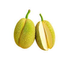 fruits & jackfruit free transparent png image.