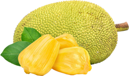 fruits & jackfruit free transparent png image.