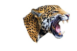 animals & Jaguar free transparent png image.