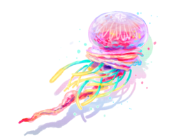 animals&Jellyfish png image.
