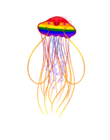 animals & Jellyfish free transparent png image.